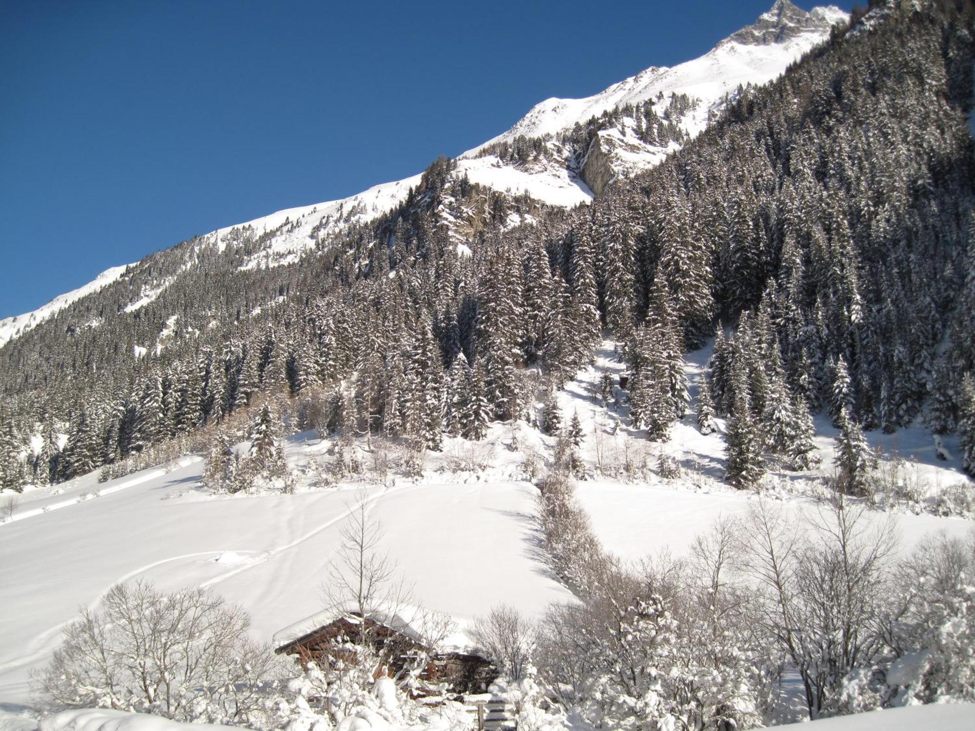 Alpina Appartement Sankt Leonhard im Pitztal Eksteriør bilde
