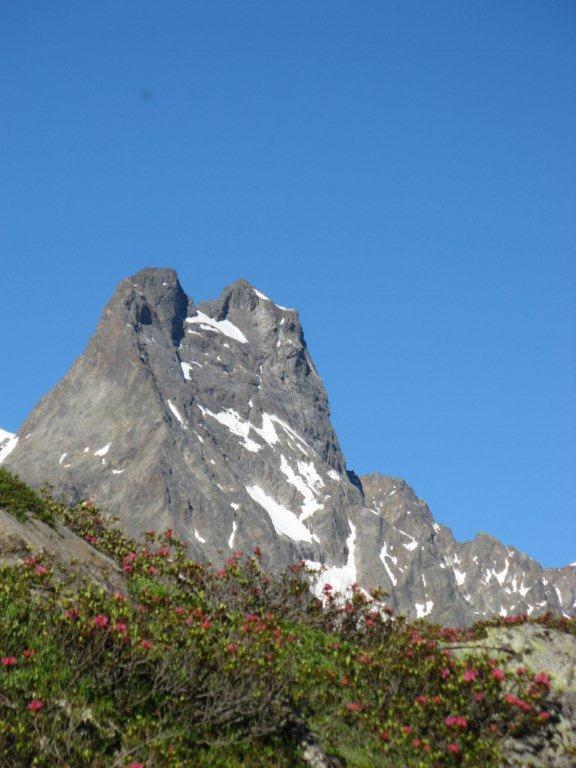 Alpina Appartement Sankt Leonhard im Pitztal Eksteriør bilde